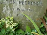 image of grave number 240611